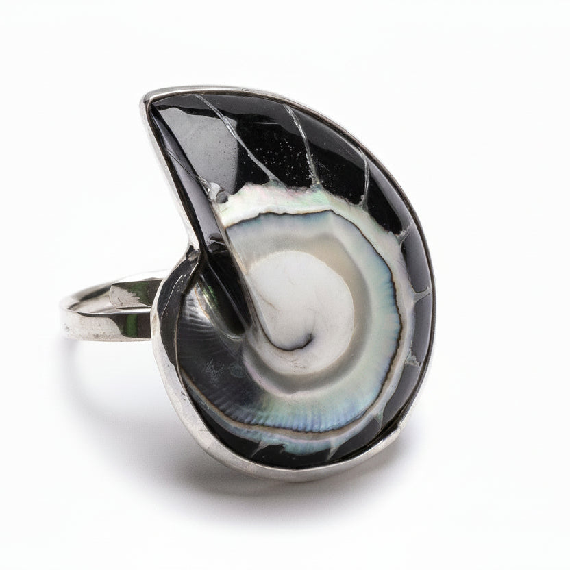 Anillo Balina