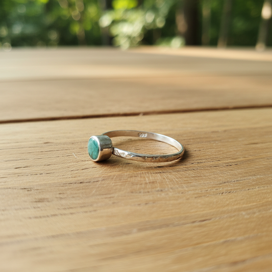 Anillo Vega