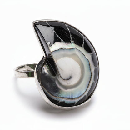 Anillo Balina