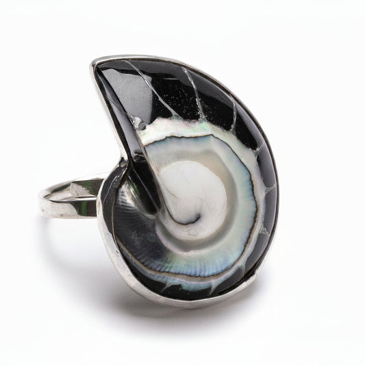 Anillo Balina