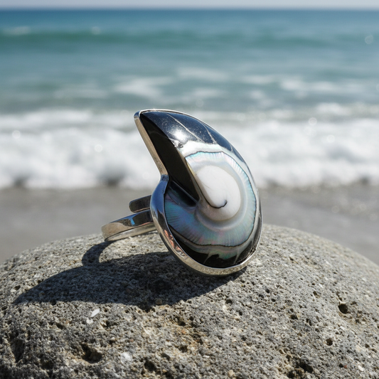 Anillo Balina